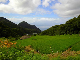 Terraced Rice Fields in Ishibu