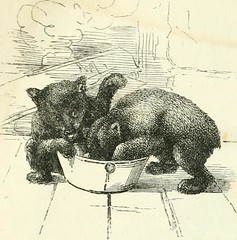 Image from page 291 of "Virginia illustrated : containing a visit to the Virginian Canaan, and the adventures of Porte Crayon and his cousins" (1857)