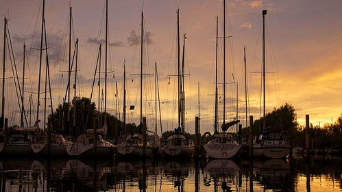 sunset de boats sailing haringvliet put