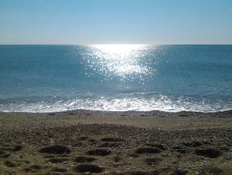 breakfast on the beach, mackerel for lunch | colour it green