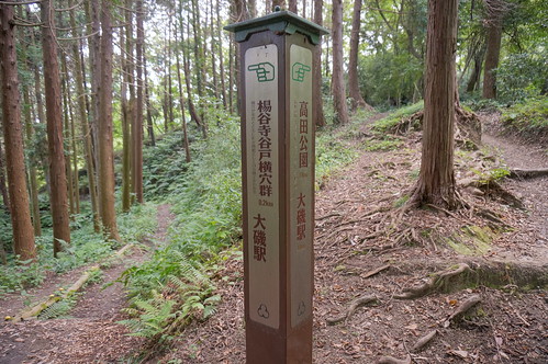 guidepost