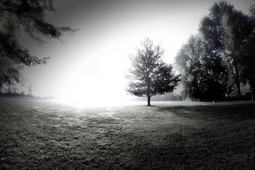 park morning trees light ohio summer sky blackandwhite bw usa sun white mist black tree beautiful field grass fog yard rural america sunrise canon lens landscape geotagged photography eos rebel prime blackwhite focus midwest skies country lawn parks dramatic peaceful wideangle september fisheye software fixed summertime manual dslr geotag vignette manualfocus app smalltown facebook 2014 500d clintoncounty handyphoto rokinon teamcanon t1i iphoneedit snapseed jamiesmed