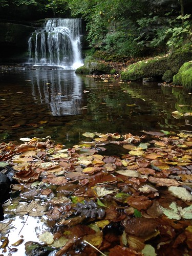 autumn west fall apple leaves upload waterfall leaf 5 yorkshire north email explore dales burton iphone roaming ydnp