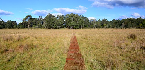 australia newsouthwales aus grassland walkingtrack southeastforestsnationalpark alexandershut wilkinsonstrack