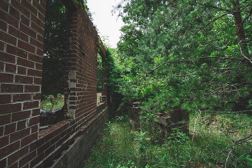 old city house building abandoned forest canon landscape outdoors virginia woods ruins piano richmond creepy 7d