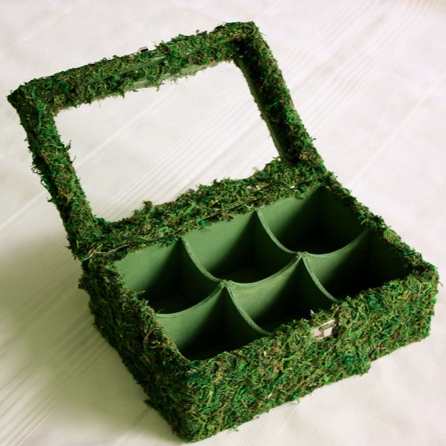 moss-covered-display-box