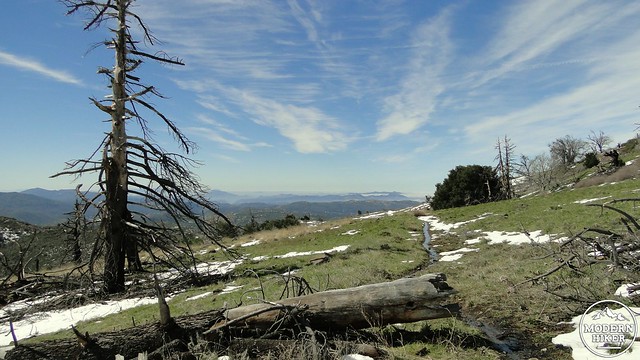 West Mesa views