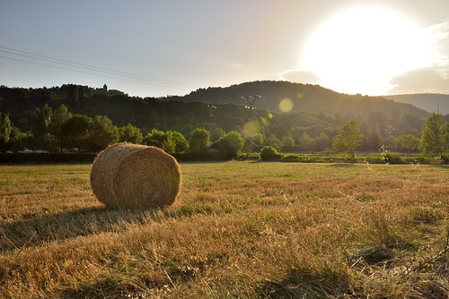 morning sun sunrise dawn fields hay haybale