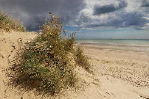 uk sea england beach grass weather clouds sand unitedkingdom dunes stormy rye eastsussex camber