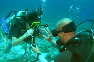 <img src="padi-diving-course-navigation-diver-tioman-island-malaysia.jpg" alt="PADI diving course, Navigation Diver, Tioman Island, Malaysia." />