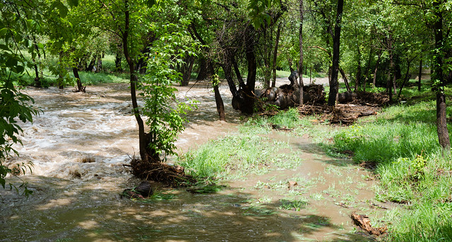August 2014 Flood in Granite Creek Park 2