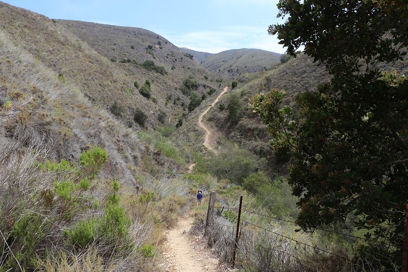 Hiking the Del Norte Trail up from a valley.