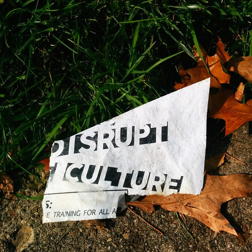 Disrupt Culture