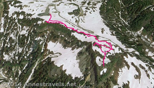 Visual map of the Artist Ridge Trail - up is north. Mount Baker-Snoqualmie National Forest, Washington