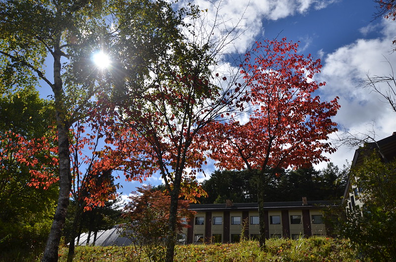 紅葉と青空の秋の長野旅行 駒ヶ根 2014年10月14日