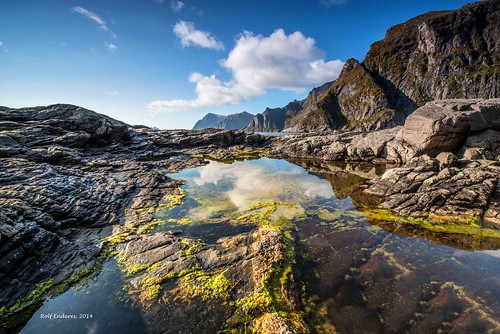 sea norway reflections rocks meer norwegen å lofoten spiegelung felsen renp åilofoten