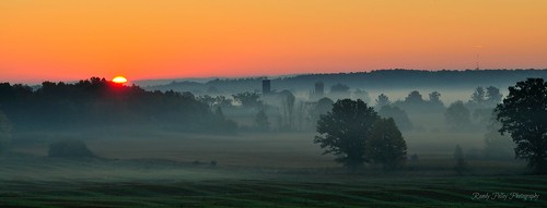 trees mist sunrise farm