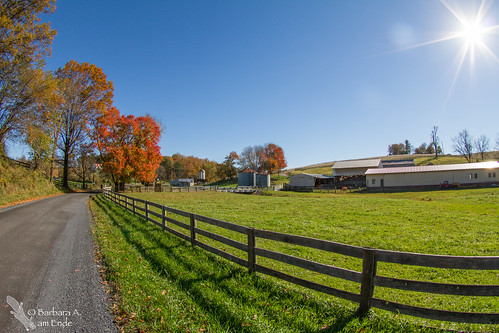 morning autumn shadow usa tree fence virginia october farm fisheye tokina va gravelroad 2014 coloredleaves loudouncounty squirrelgirl 1017mm barbaraamende barbaraaamende barbaraanneamende