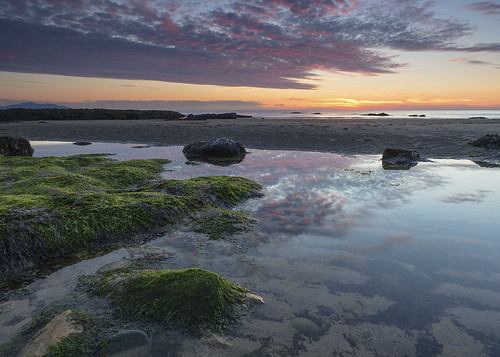 sunset cloud seascape seaweed reflection beach water pool wales landscape coast cymru shoreline coastline ynysmon anglesey churchbay porthswtan