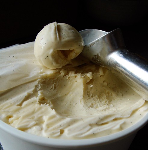 Jeni's Vanilla Ice Cream