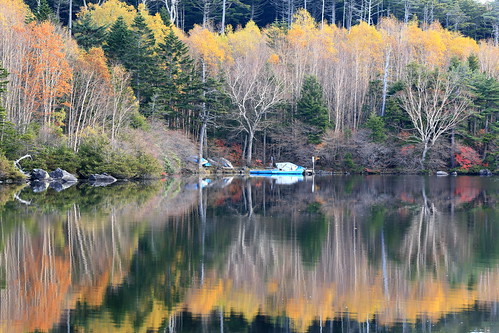 reflections landscape pond autumncolors 紅葉 秋 長野県 白駒池 映り込み