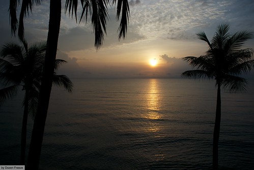 sea tree beach sunrise nikon df coconut 24mm f28d