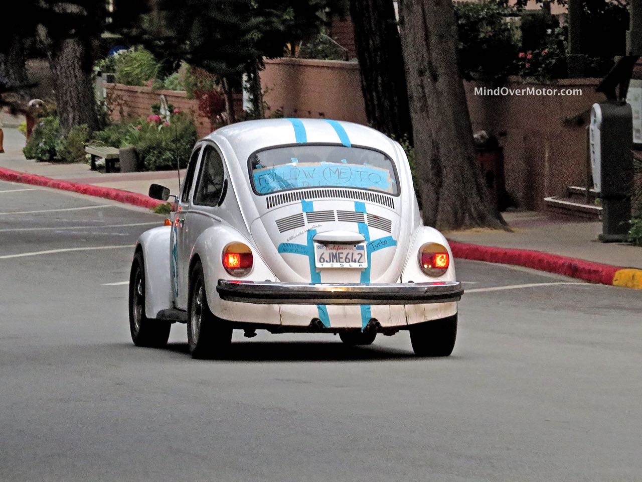 Volkswagen Beetle Rear