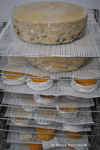 25 - мастер-класс по приготовлению сыра - традиции Португалии