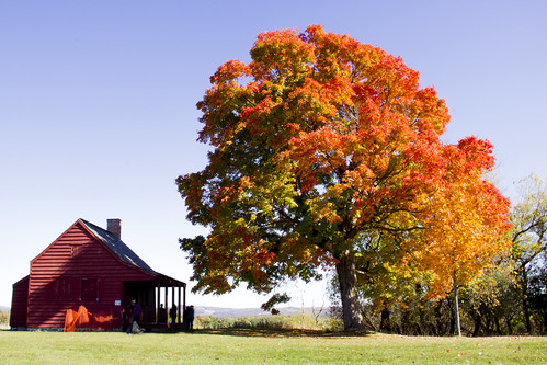 autumn newyork history fall nature leaves rural landscape october saratoga rustic upstate upstatenewyork battlefield newyorknewyork folliage