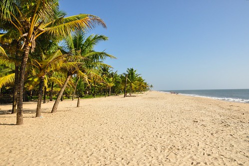 india beach nikon kerala coconuttrees alleppey d90 nikond90 mararikulam