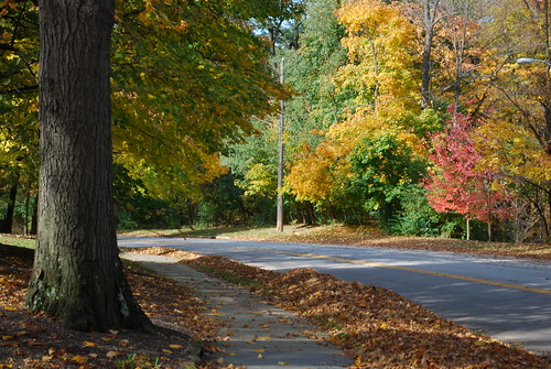 autumn ohio fall shakerheights