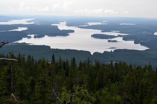 summer lake forest finland landscape geotagged ks july kuusamo fin 2014 iivaara koillismaa 201407 20140715 geo:lat=6580139542 geo:lon=2967590773