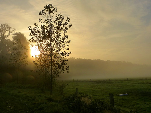 holland netherlands rural sunrise landscape nederland achterhoek winterswijk landschap gelderland landelijk zonsopkomst woold platinumheartaward panasonicdmcfz150 1180862