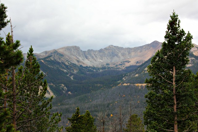 View from Trail Ridge Road