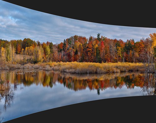 panorama ontario canada landscape fallcolors gimp waterlooregion wilmottownship microsoftice oloneo olympusomdem5