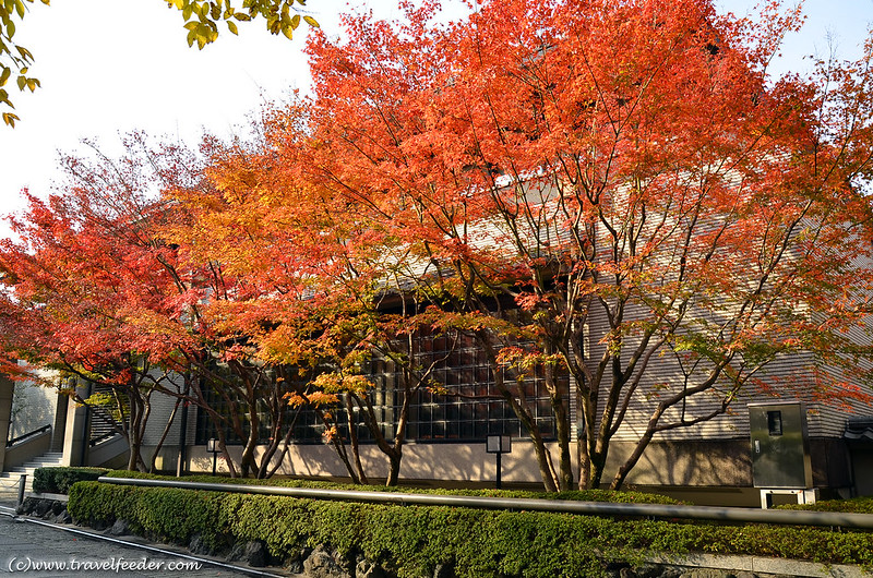 Autumn colours of Higashiyama