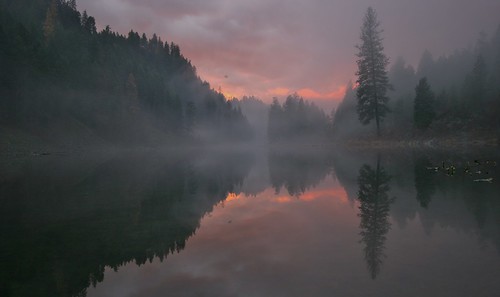 november autumn trees sunset reflection fog clouds washington canon20d waterscape marilynhassler omadarlingphotography