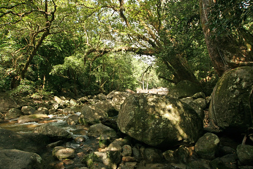 water creek landscape rainforest rocks australia mossman queensland mossmangorge riverrocks waterway freshwater mossmanriver tropicalnorthqueensland farnorthqueensland rexcreek