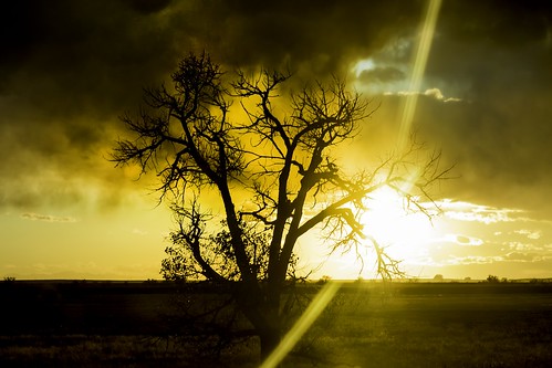 morgancounty colorado nature landscape road clouds tree silhouette bbbb bbbbb sun sunset yellow
