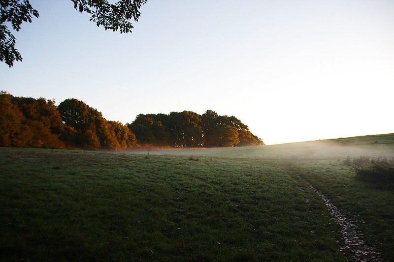 Hampstead Heath at dawn - London park