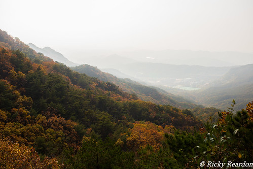 city autumn trees mountain fall nationalpark scenic seoul southkorea gwanaksan