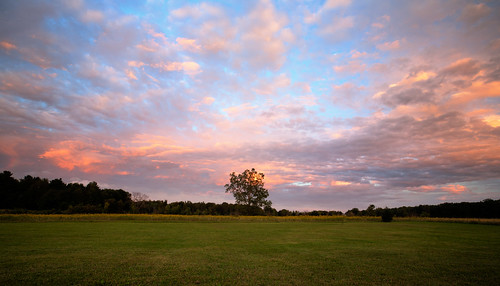trees sunset summer sky copyright michigan september canon5d upnorth prescott 2014 ef1740mmf4lusm cs5 puremichigan