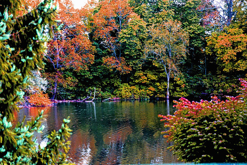 autumn landscape fallcolors floodedroad