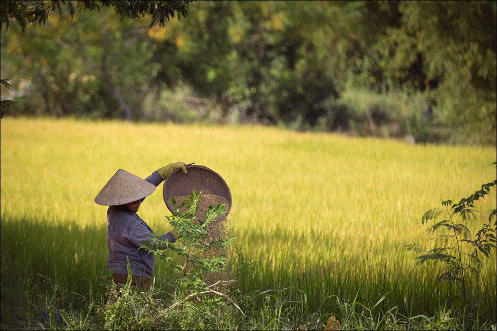 Вьетнам в сентябре (Фансипан, Май Чау). Миниотчет с минитрафиком.