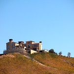 Villa in the vineyards