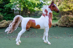 What horse is this?