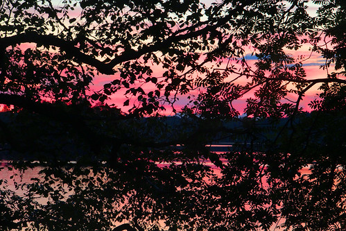 pink trees sunset summer lake nature beautiful leaves suomi finland evening countryside finnland sundown dusk country finlandia フィンランド finlande finlândia finnország finlanda finlàndia финляндия finnishsummer finnlando فنلندا