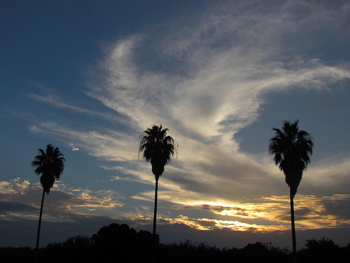 nature beauty clouds texas cloudy sunsets bluesky palmtrees riverbend