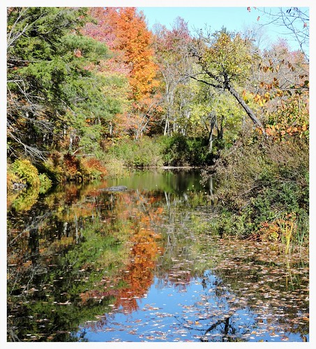 mypics actinolite tweed skootamattariver autumn fall river reflection reflected