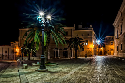 trani puglia italy night palm streetlights italia apulia d750 2485mm